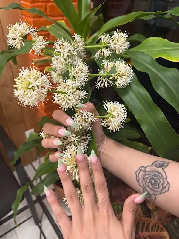 GOLD STAR NAILS 20% OFF ALL PEDICURE WITH $40 & UP — Nail salon in Rockwall